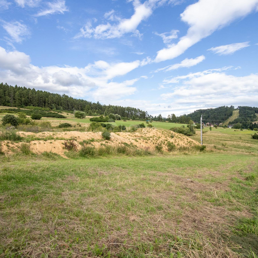 małopolskie, nowotarski, Czorsztyn, Kluszkowce, Rozwojowa, Niezabudowana nieruchomość gruntowa 1104m2.