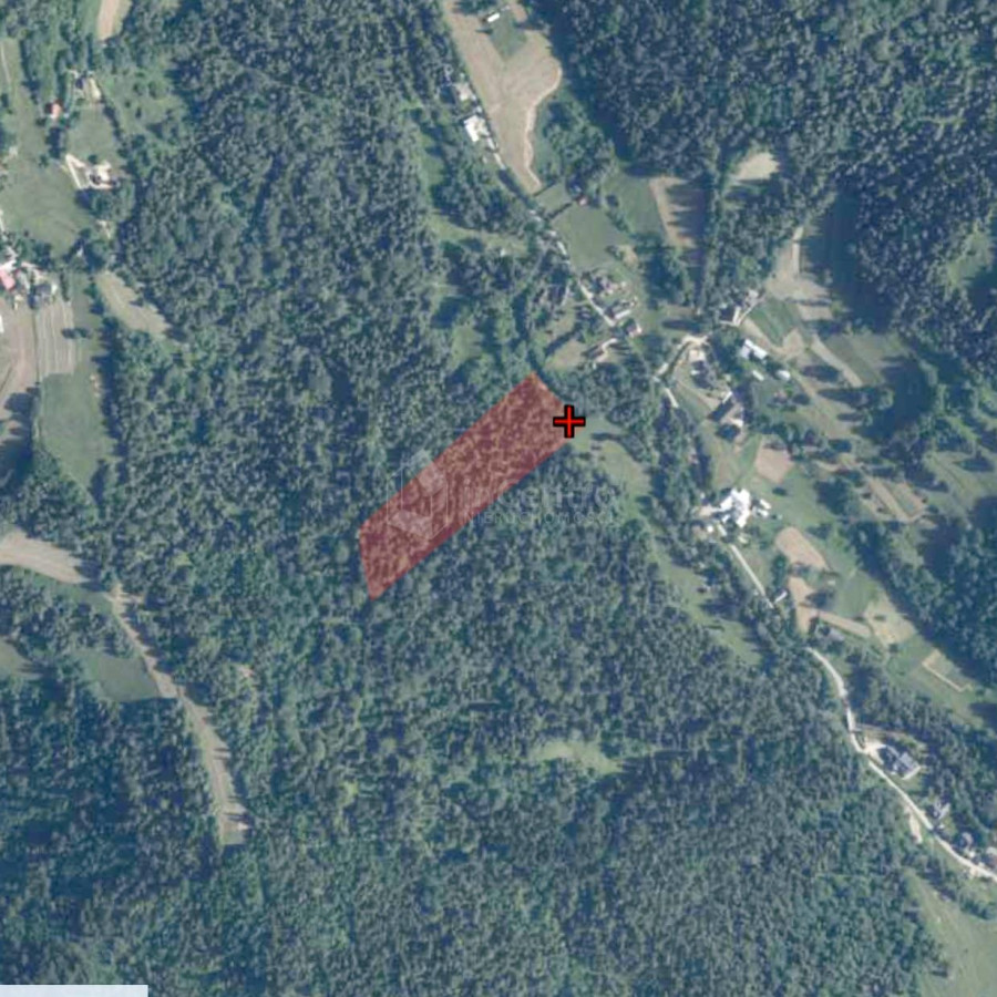 małopolskie, nowotarski, Nowy Targ, Łopuszna, NA SPRZEDAŻ LAS 1,7 HA ŁOPUSZNA W JEDNYM KAWAŁKU