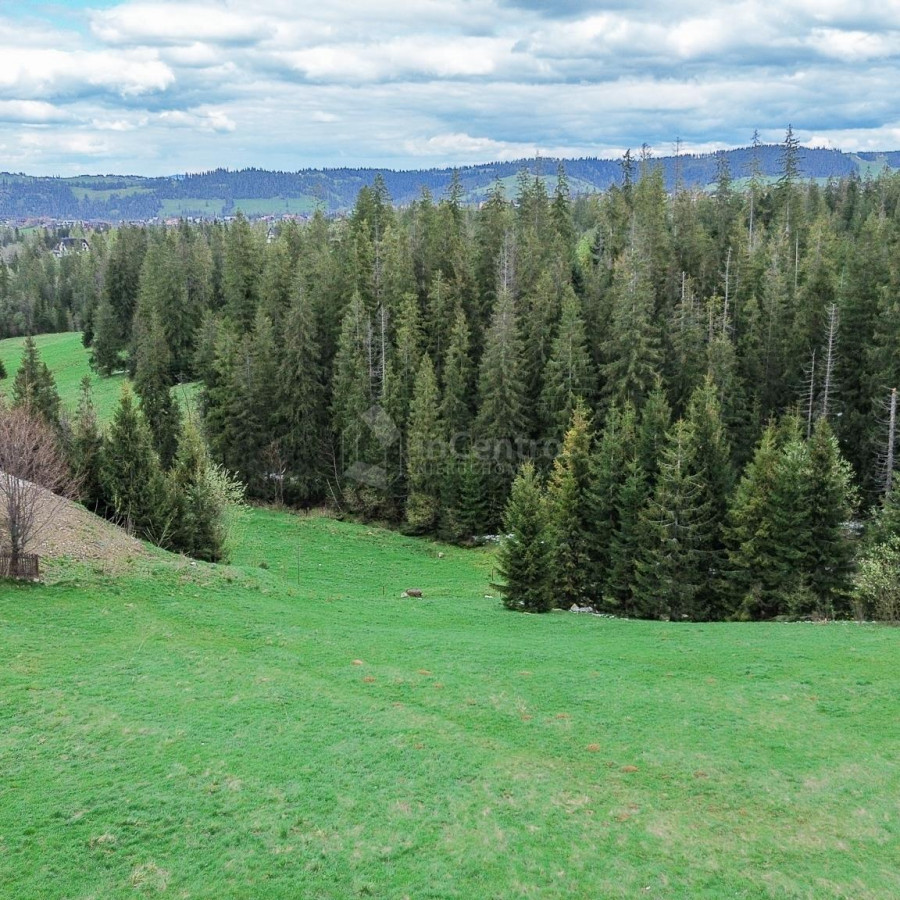 małopolskie, tatrzański, Zakopane, NOWA CENA ! 1486m2. Zakopane, Cyrhla.