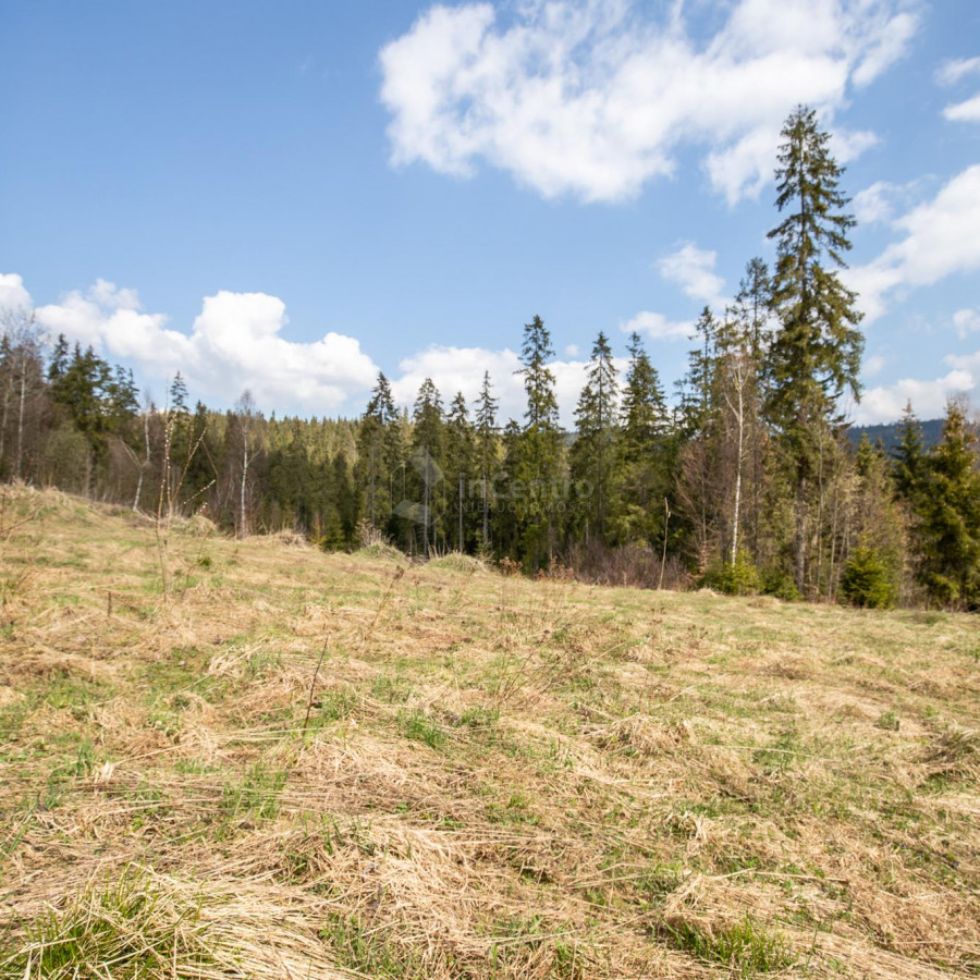 małopolskie, nowotarski, Nowy Targ, Marfiana Góra, os. Marfiana Góra, Widokowa działka z lasem. 4046m2. Nowy Targ.
