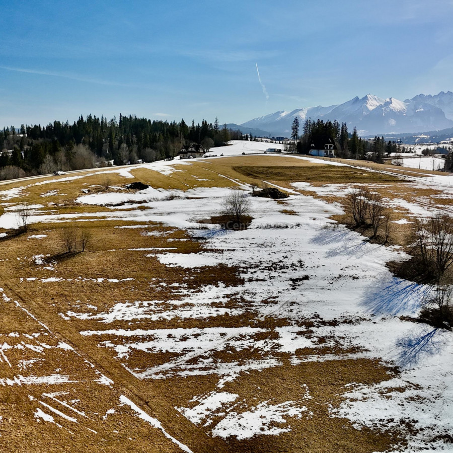 małopolskie, tatrzański, Bukowina Tatrzańska, Groń, GROŃ DZIAŁKA 1678 M2 600 M OD KOTELNICY