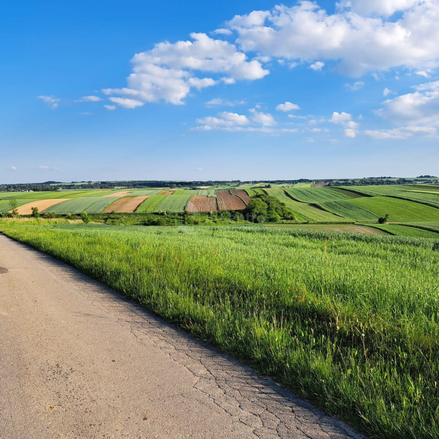 małopolskie, miechowski, Gołcza, Adamowice, Oaza spokoju na łonie natury, pozwolenie na budowę